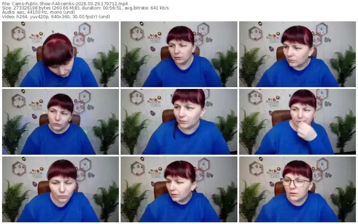 cams-aliceinks-03-29-2026-17-07-12