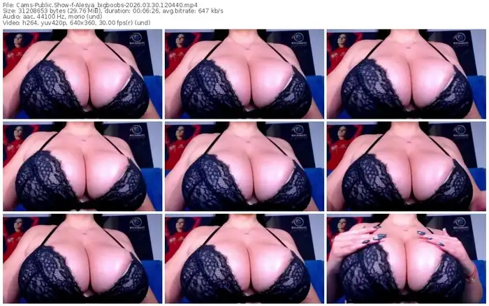 cams-alesya_bigboobs-03-30-2026-12-04-40
