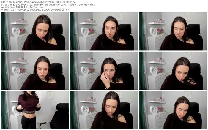 cams-adelevibe-03-31-2026-11-30-36