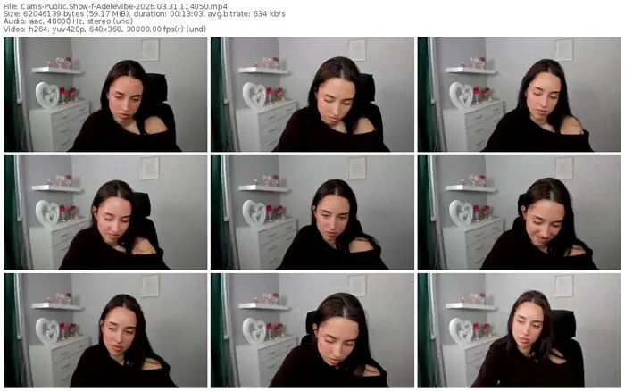 cams-adelevibe-03-31-2026-11-40-50