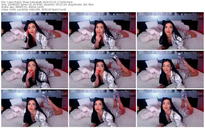 cams-amaliar-03-31-2026-17-32-30