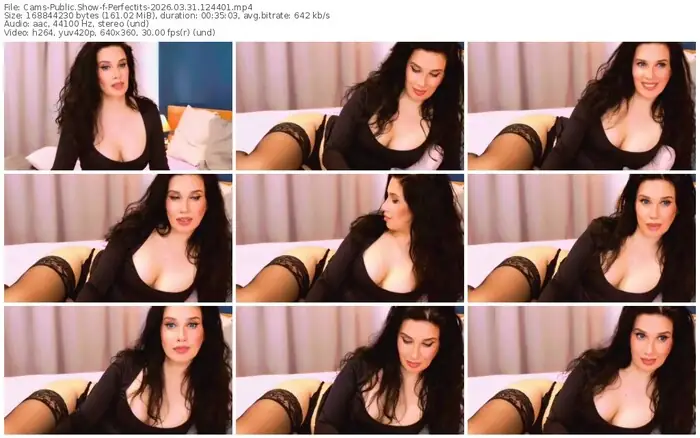 cams-perfectits-03-31-2026-12-44-01