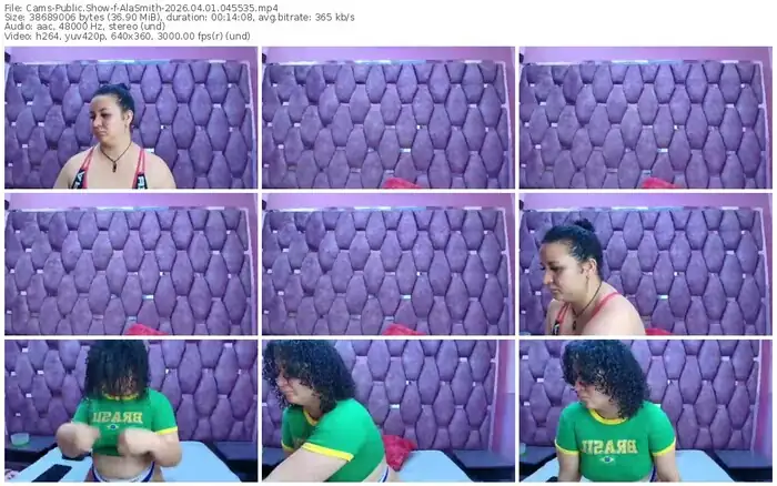 cams-alasmith-04-01-2026-04-55-35