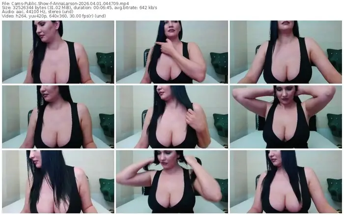 cams-annalarson-04-01-2026-04-47-09