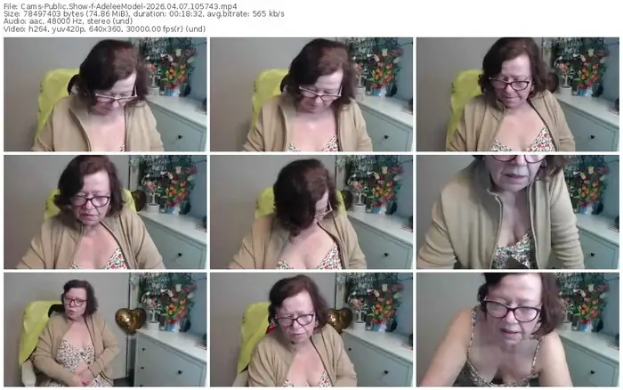 cams-adeleemodel-04-07-2026-10-57-43