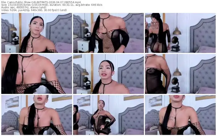 cams-elektrats-04-07-2026-08-05-54