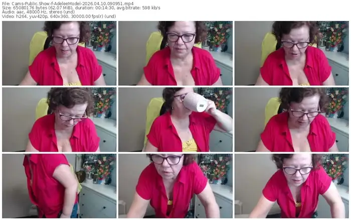 cams-adeleemodel-04-10-2026-09-09-51