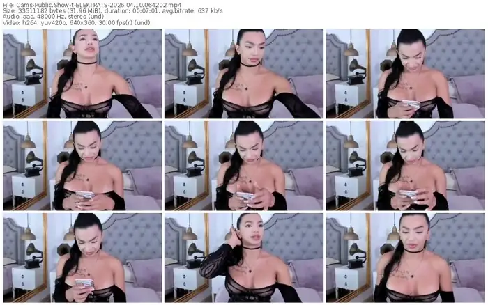 cams-elektrats-04-10-2026-06-42-02