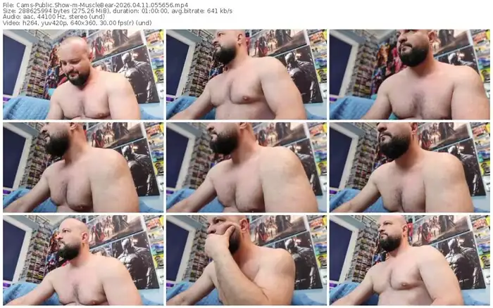 cams-musclebear-04-11-2026-05-56-56