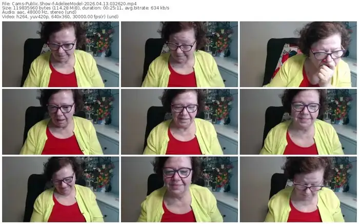 cams-adeleemodel-04-13-2026-03-26-20