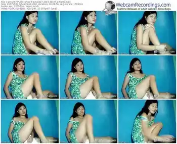 cams247-simple27-public-show-08_27_2015-23_59_05