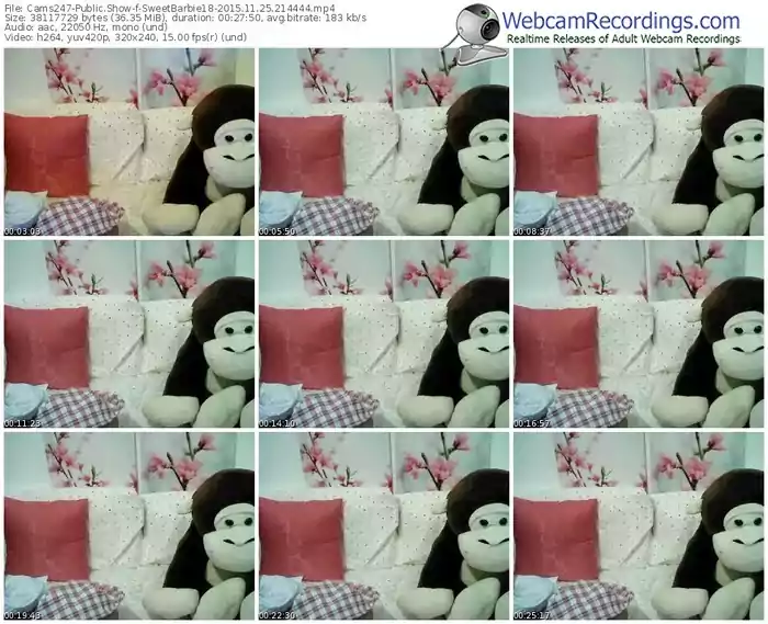 cams247-sweetbarbie18-webcam-show-11_25_2015-21_44_44