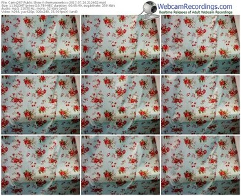 cams247-cherrysweetxxx-webcam-show-07_24_2017-21_26_02