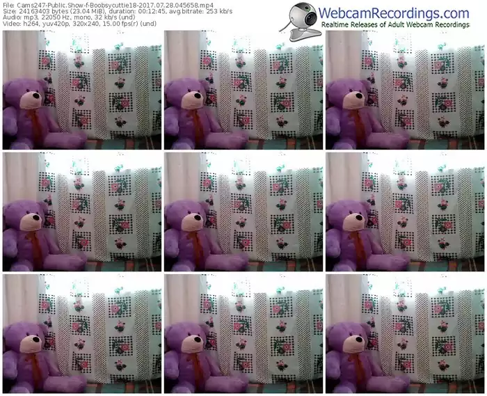 cams247-boobsycuttie18-webcam-show-07_28_2017-04_56_58