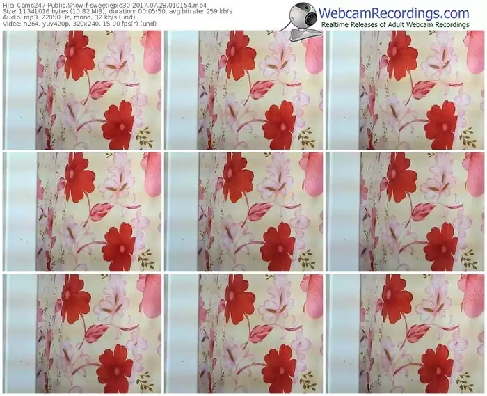 cams247-sweetiepie30-webcam-show-07_28_2017-01_01_54