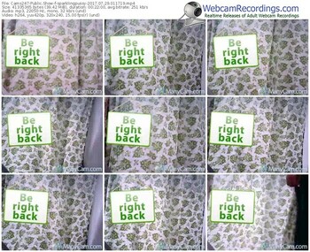 cams247-sparklingpussy-webcam-show-07_29_2017-01_17_19