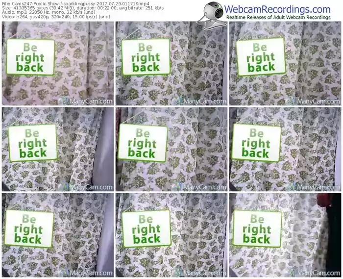 cams247-sparklingpussy-webcam-show-07_29_2017-01_17_19