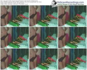 cams247-asianwhore11-webcam-show-08_25_2017-19_30_53