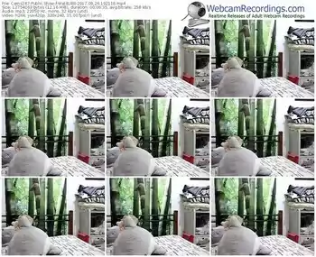 cams247-wal4u88-webcam-show-08_26_2017-19_21_16