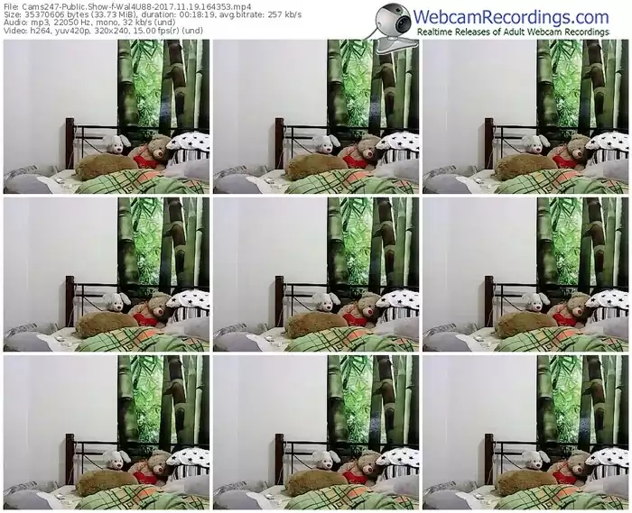 cams247-wal4u88-webcam-show-11_19_2017-16_43_53