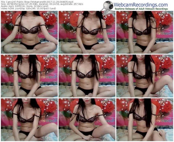cams247-wetamore69-webcam-show-11_29_2017-04_48_35