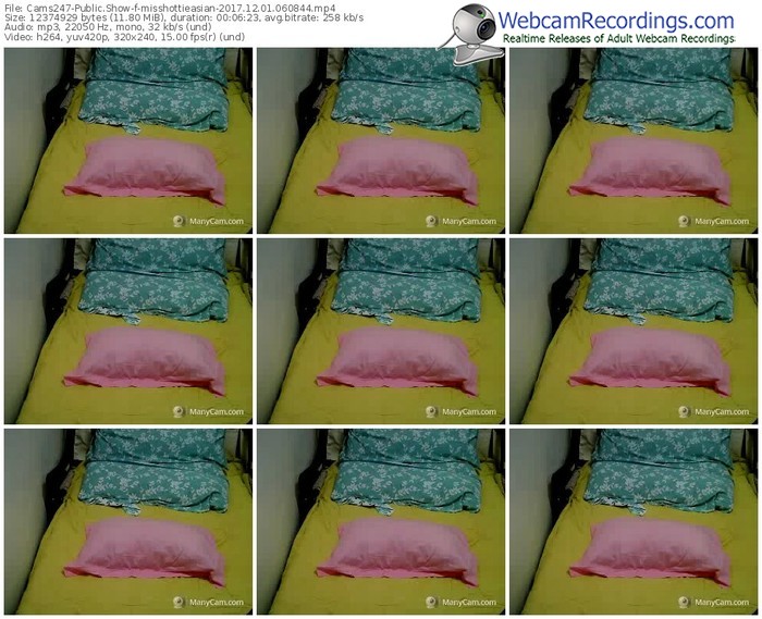 cams247-misshottieasian-webcam-show-12_01_2017-06_08_44