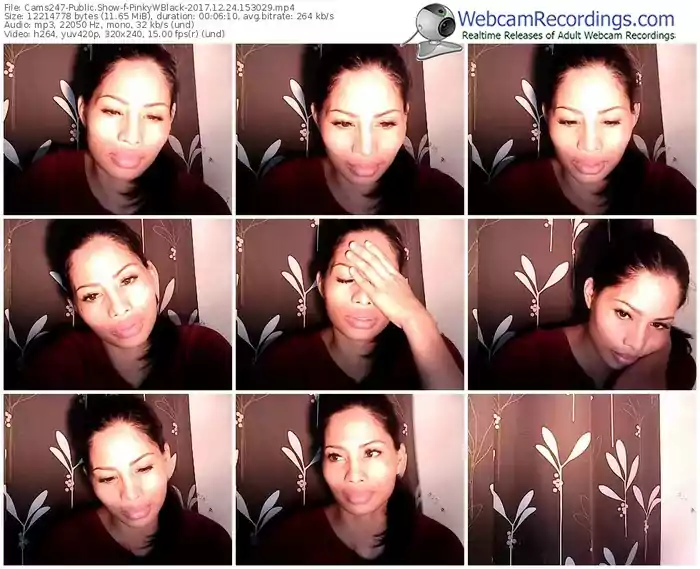 cams247-pinkywblack-webcam-show-12_24_2017-15_30_29