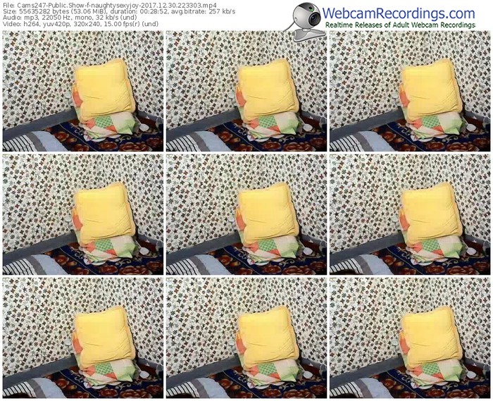 cams247-naughtysexyjoy-webcam-show-12_30_2017-22_33_03