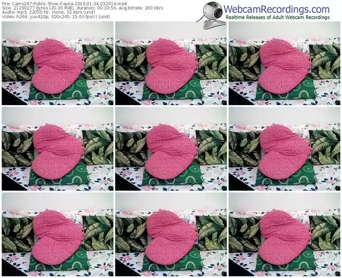 cams247-ayka-webcam-show-01_04_2018-03_26_14