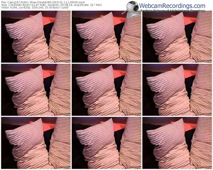 cams247-wal4u88-webcam-show-01_12_2018-12_45_00