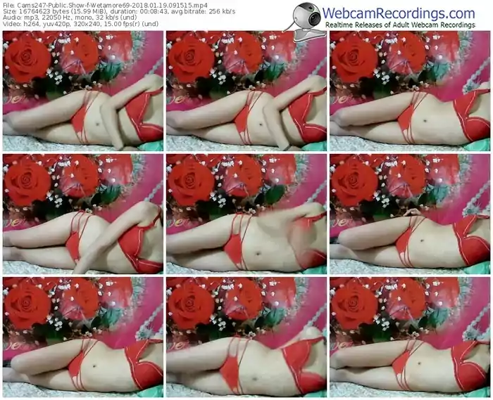 cams247-wetamore69-webcam-show-01_19_2018-09_15_15