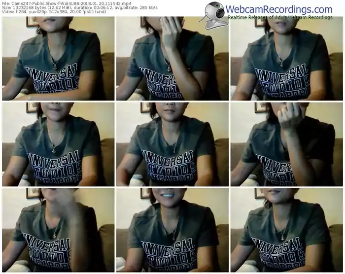 cams247-wal4u88-webcam-show-01_20_2018-11_15_42
