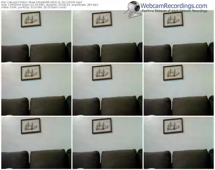 cams247-wal4u88-webcam-show-01_20_2018-11_50_43