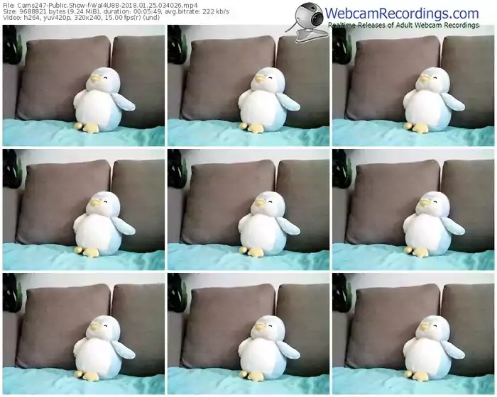 cams247-wal4u88-webcam-show-01_25_2018-03_40_26