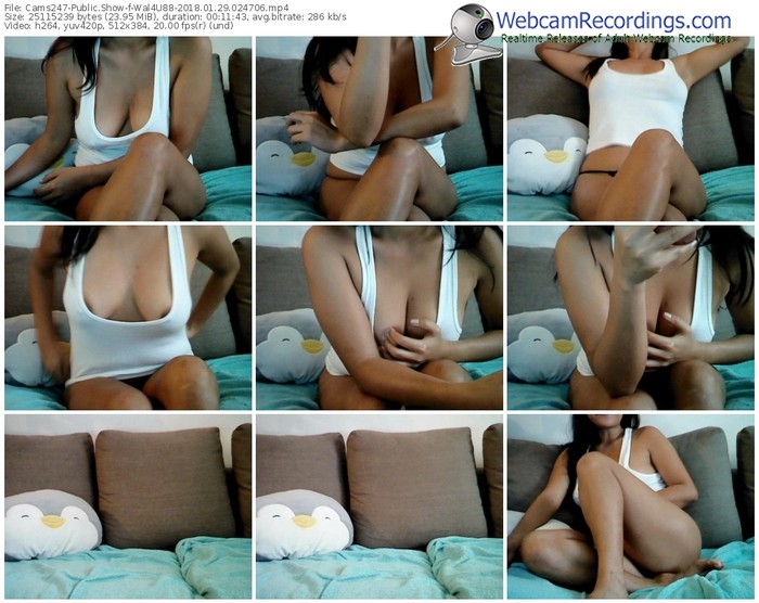 cams247-wal4u88-webcam-show-01_29_2018-02_47_06