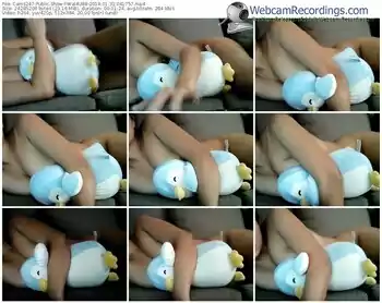 cams247-wal4u88-webcam-show-01_31_2018-04_17_57