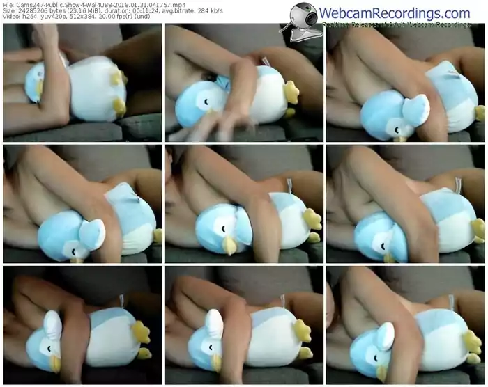 cams247-wal4u88-webcam-show-01_31_2018-04_17_57