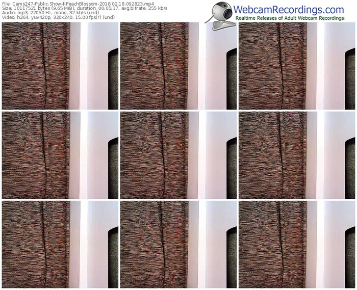 cams247-peachblossom-webcam-show-02_18_2018-09_28_23