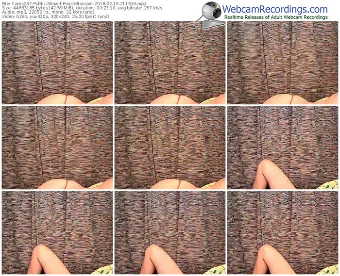 cams247-peachblossom-webcam-show-02_19_2018-21_13_59