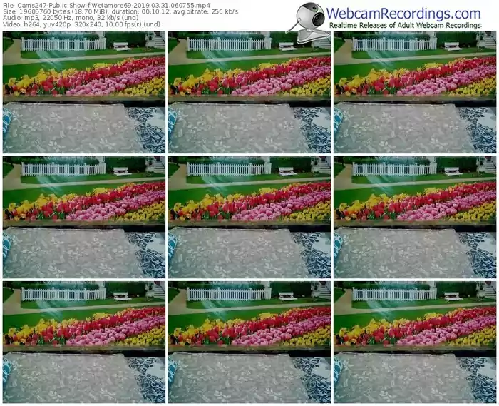 cams247-wetamore69-webcam-show-03_31_2019-06_07_55