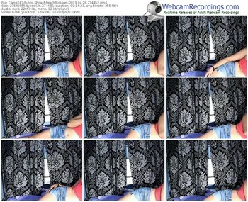 cams247-peachblossom-webcam-show-04_28_2019-23_44_52