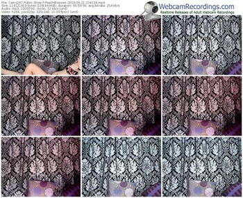 cams247-peachblossom-webcam-show-06_21_2019-23_41_34