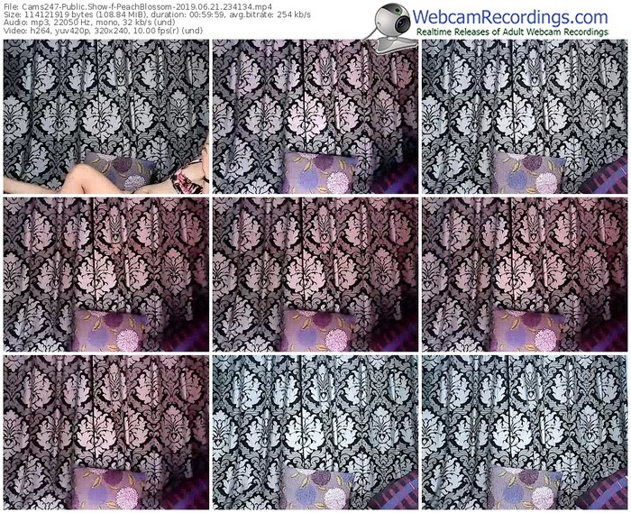 cams247-peachblossom-webcam-show-06_21_2019-23_41_34