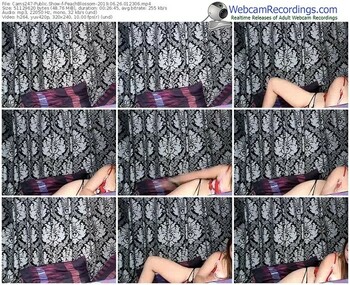 cams247-peachblossom-webcam-show-06_26_2019-01_23_06