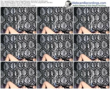 cams247-peachblossom-webcam-show-06_27_2019-21_43_53