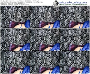 cams247-peachblossom-webcam-show-06_29_2019-16_49_37