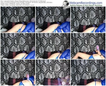 cams247-peachblossom-webcam-show-06_29_2019-17_19_38