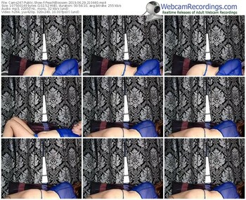 cams247-peachblossom-webcam-show-06_29_2019-21_04_40