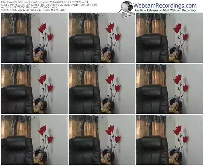 cams247-hotboobs254u-webcam-show-06_29_2019-05_24_27