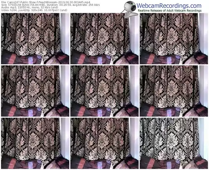 cams247-peachblossom-webcam-show-06_30_2019-00_34_45